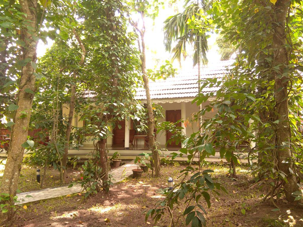 Green Court Cottage Thekkady Exteriér fotografie